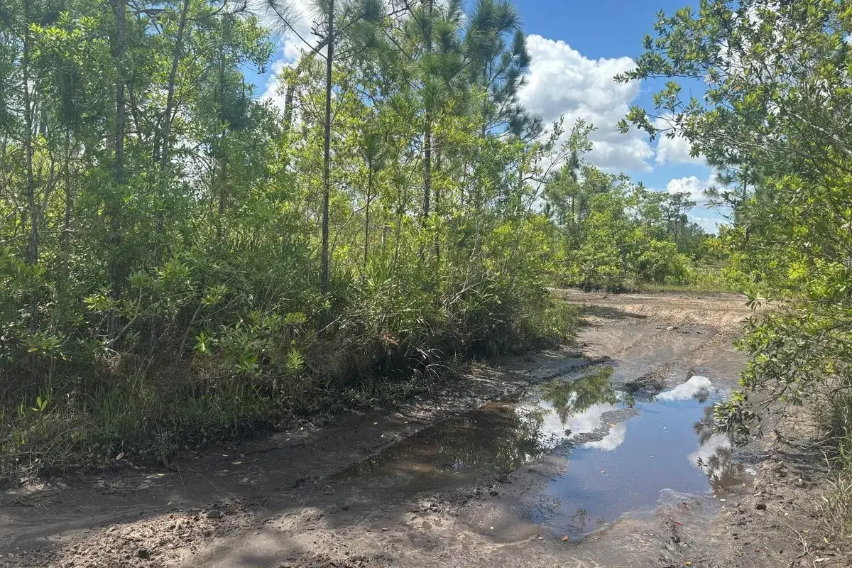 0 Holopaw Groves Road, FL 34772