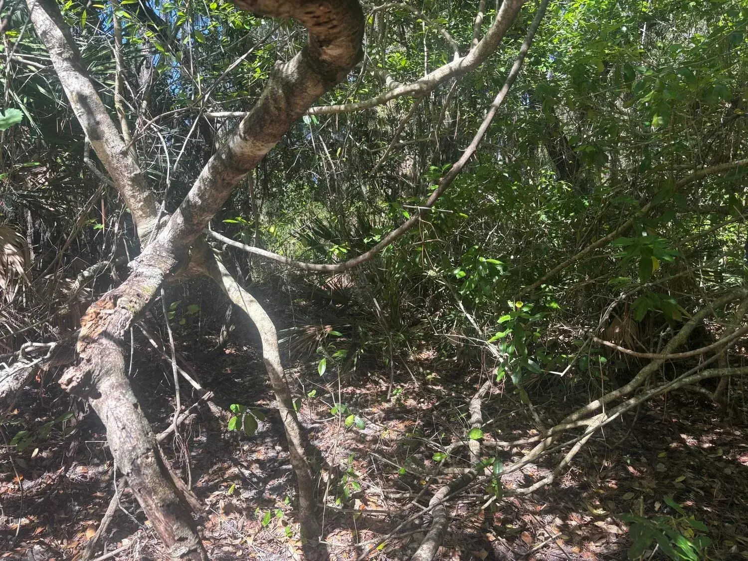 Land/Boat Docks for sale at 536 Bright Hill Avenue, Lake Placid FL 33852