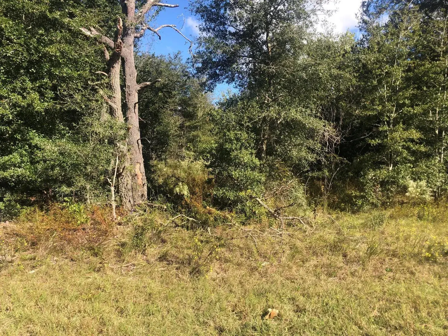 Land/Boat Docks for sale at 0 Dawn Avenue, FL 32148