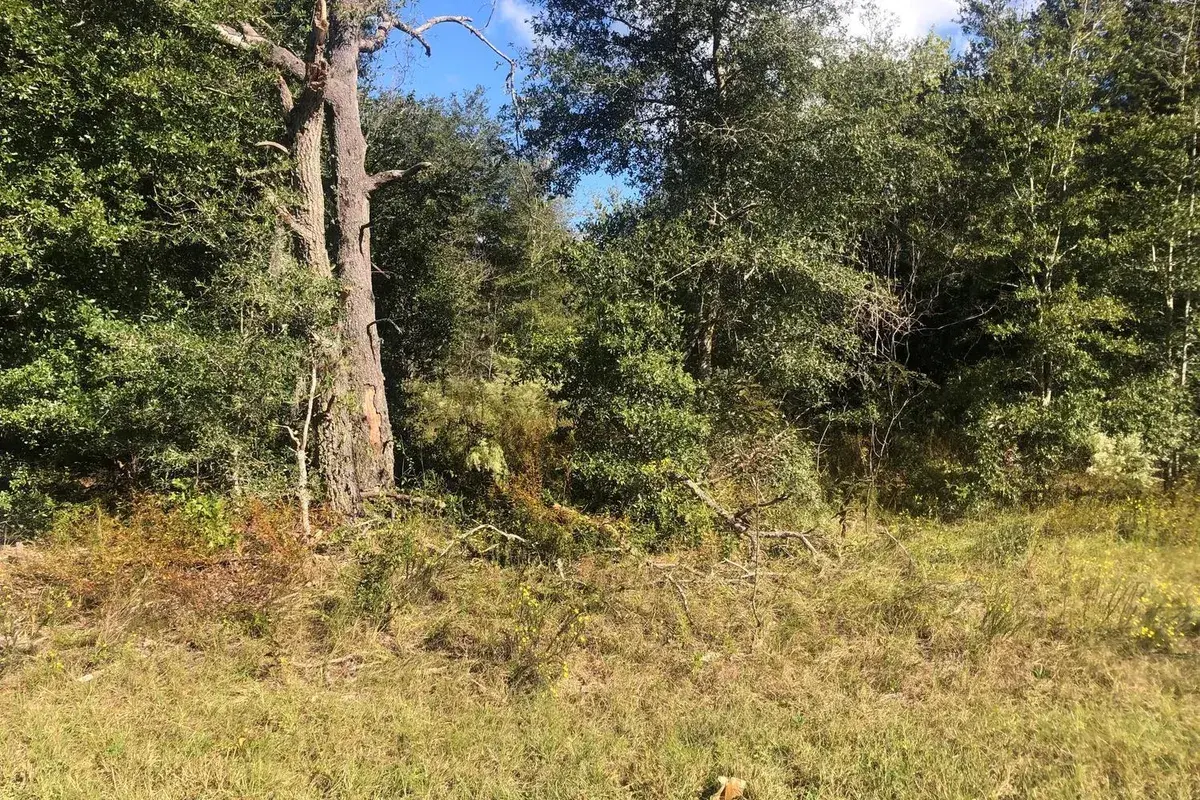 0 Dawn Avenue, FL 32148
