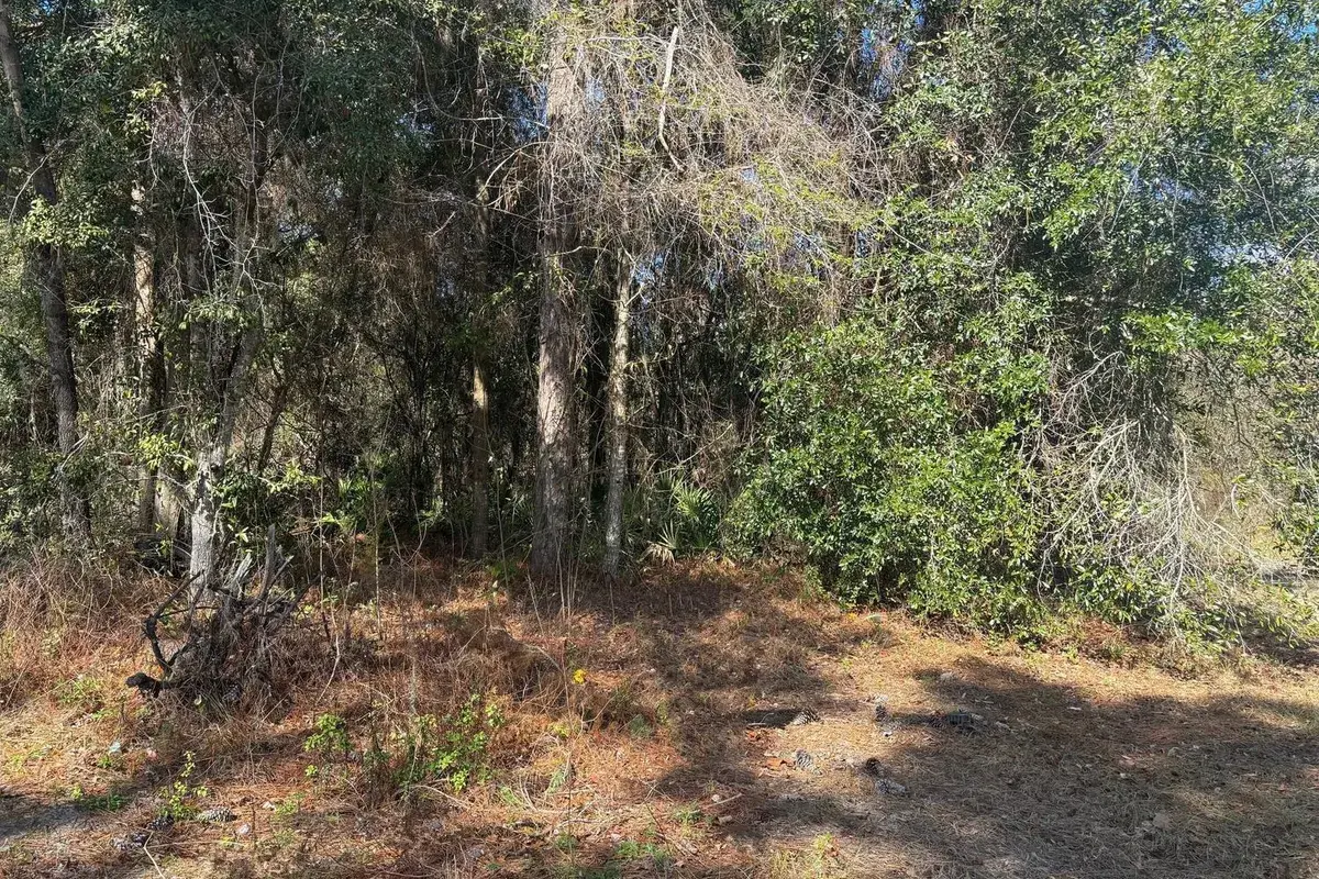 7178 W Wildfire Lane, FL 34448