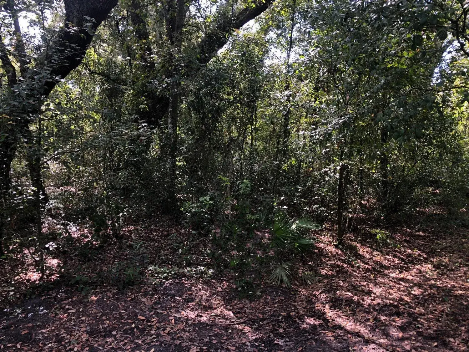 0 Co Rd 54, FL 33849