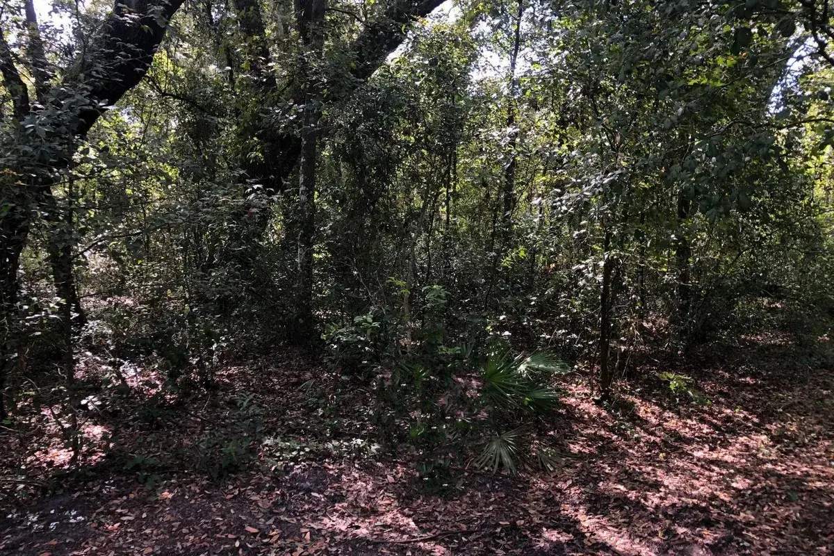 0 Co Rd 54, FL 33849