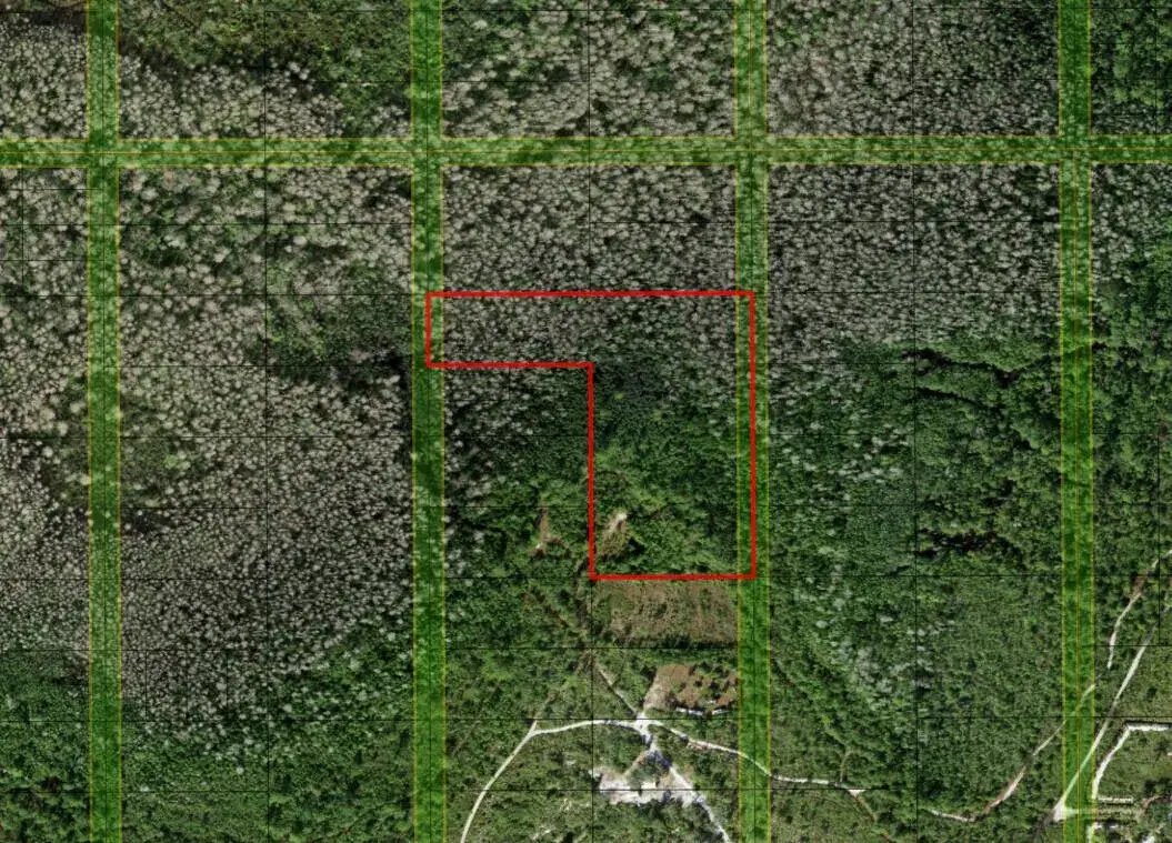 0 Holopaw Groves Road, FL 34772