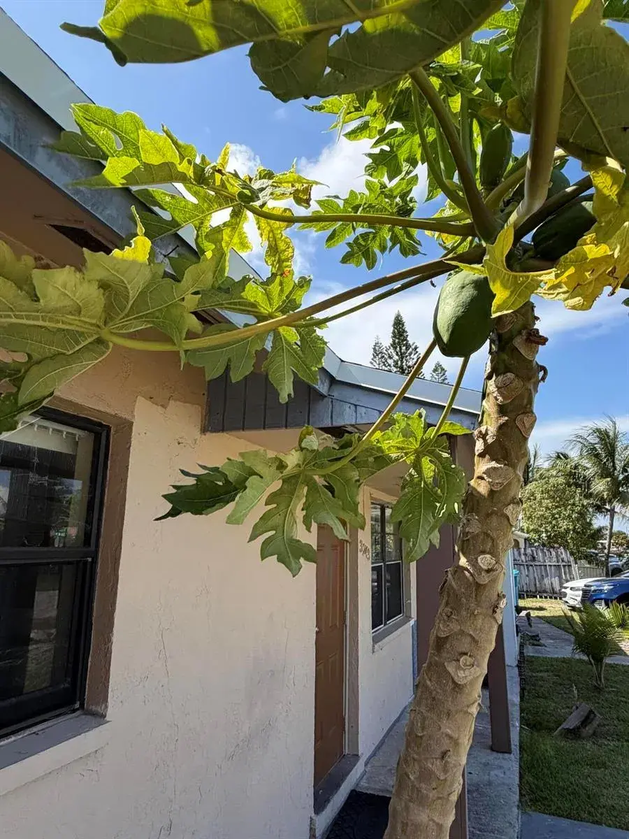 3 bedroom 1 bath Residential for sale at 3243 Grove Road, Boynton Beach FL 33435