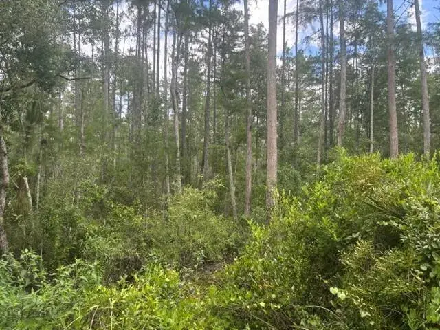 0 Water Road, Clermont FL 33868