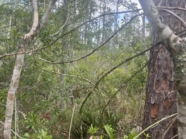 0 Water Road, Clermont FL 33868