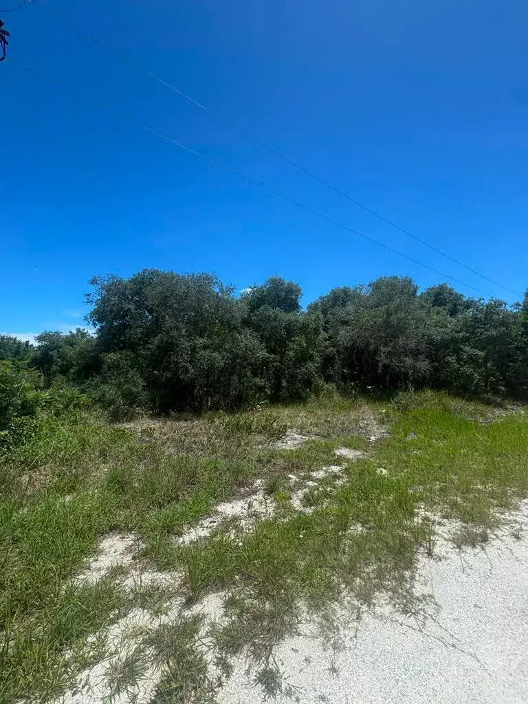 2530 N Todd Road, FL 33825