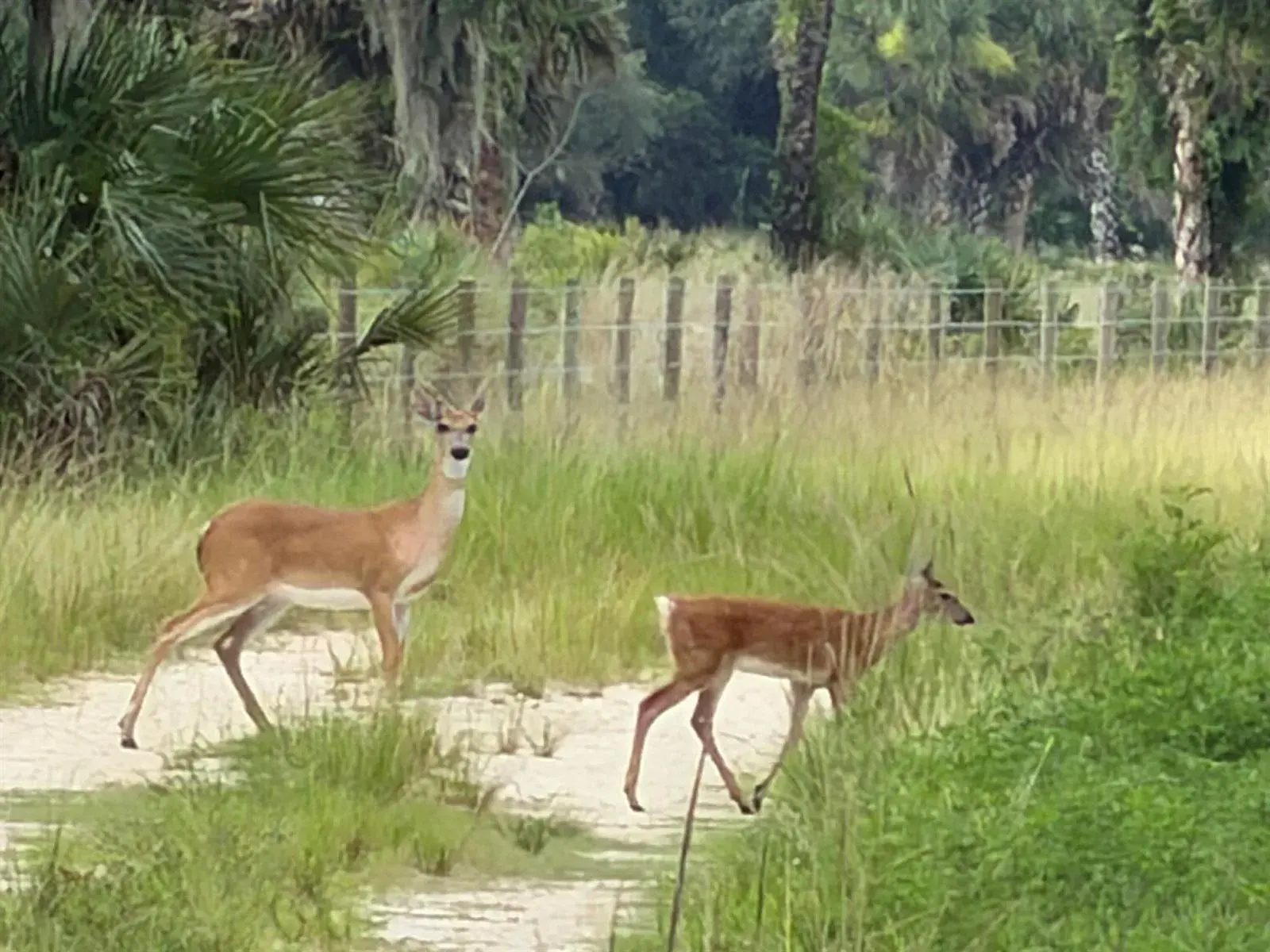 Land/Boat Docks for sale at 0 Co Rd 832, Clewiston FL 33440