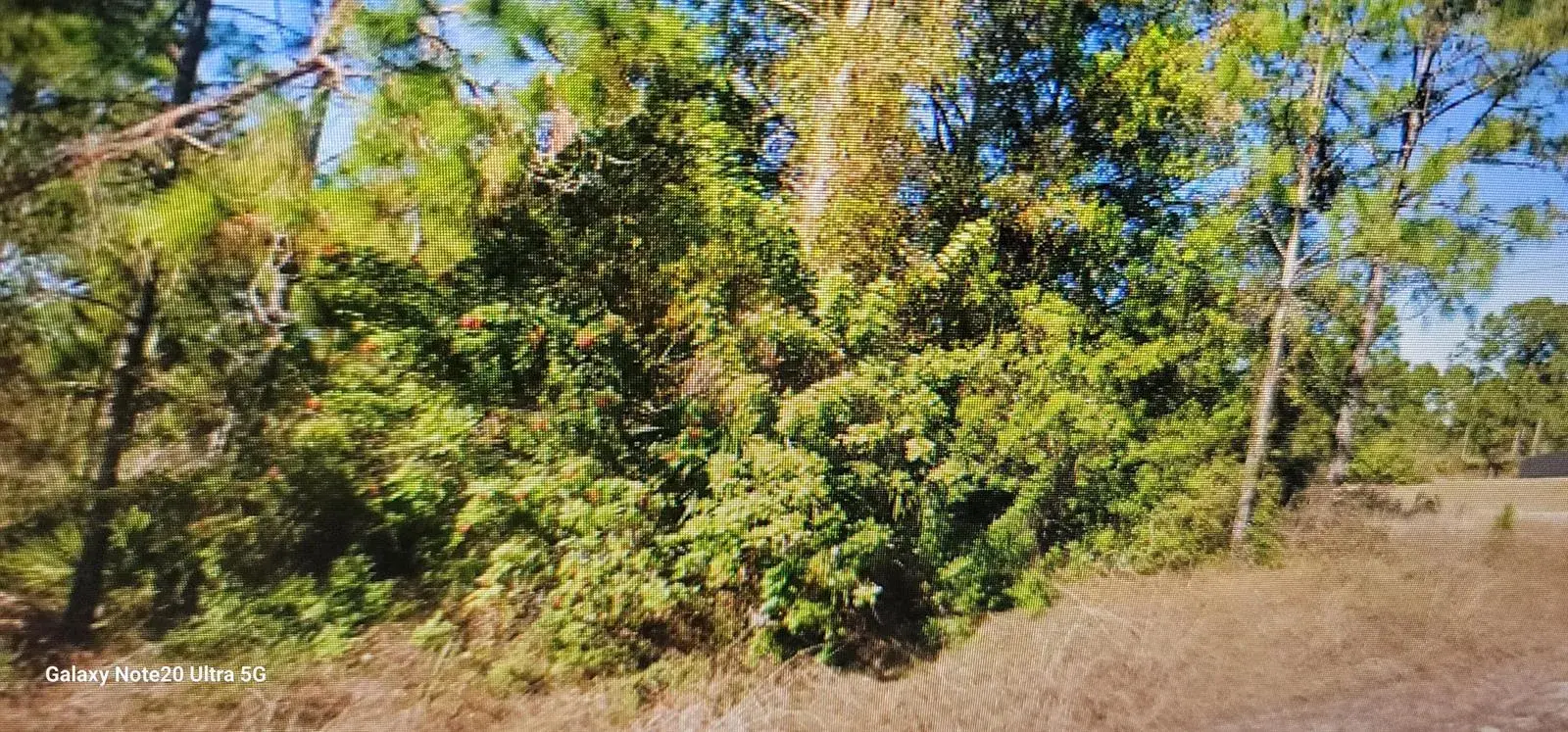 Commercial Land for sale at 1023 Acacia Avenue, Lehigh Acres FL 33972