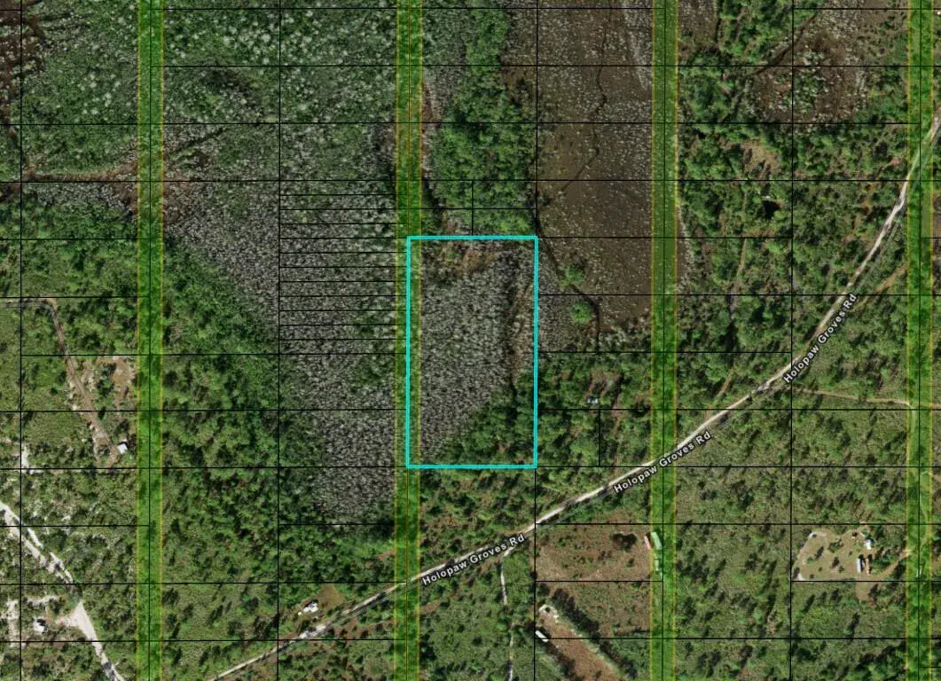 Commercial Land for sale at 0 Holopaw Groves Road, FL 34772