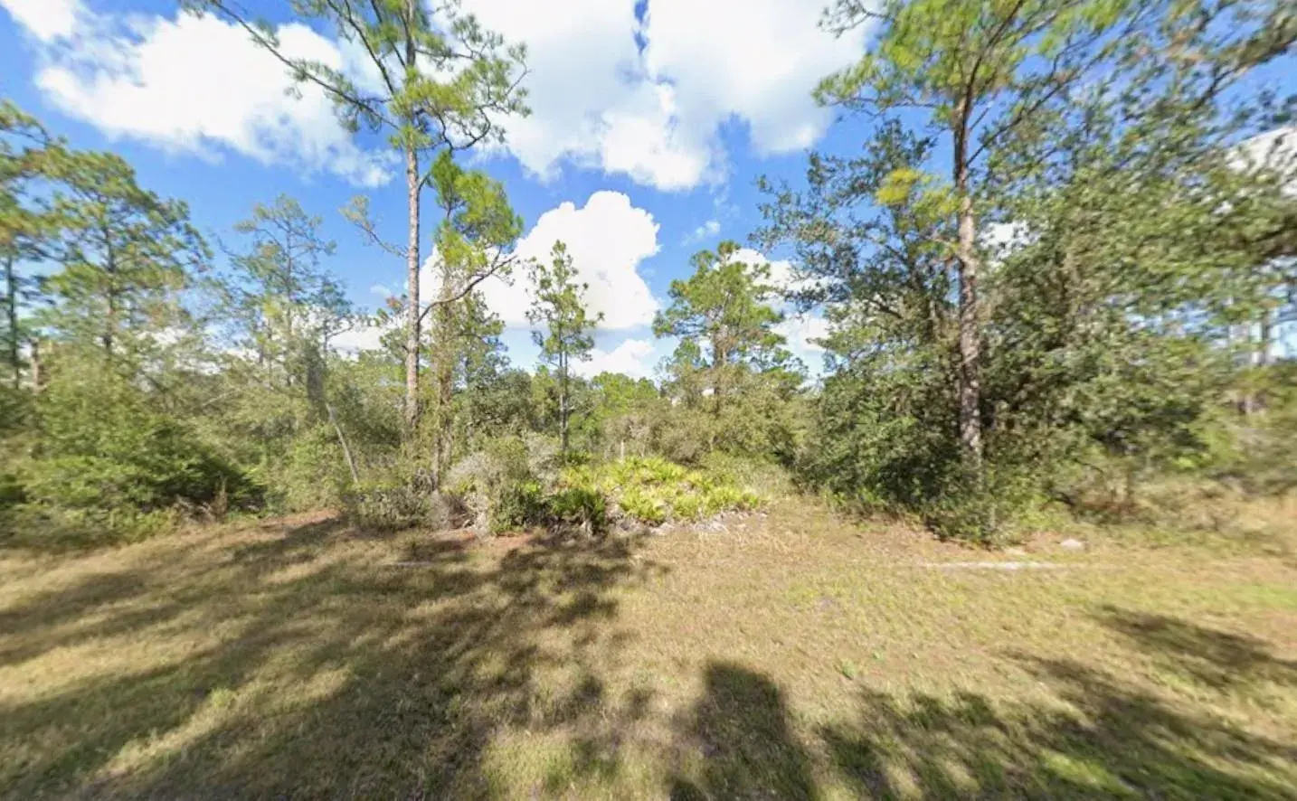 Tbd Plumosa Drive, FL 33855