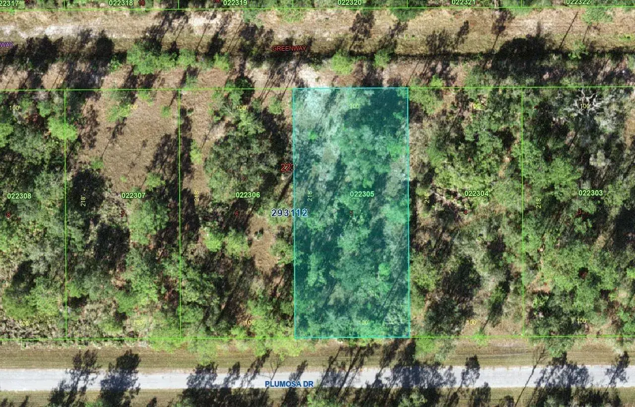 Tbd Plumosa Drive, FL 33855