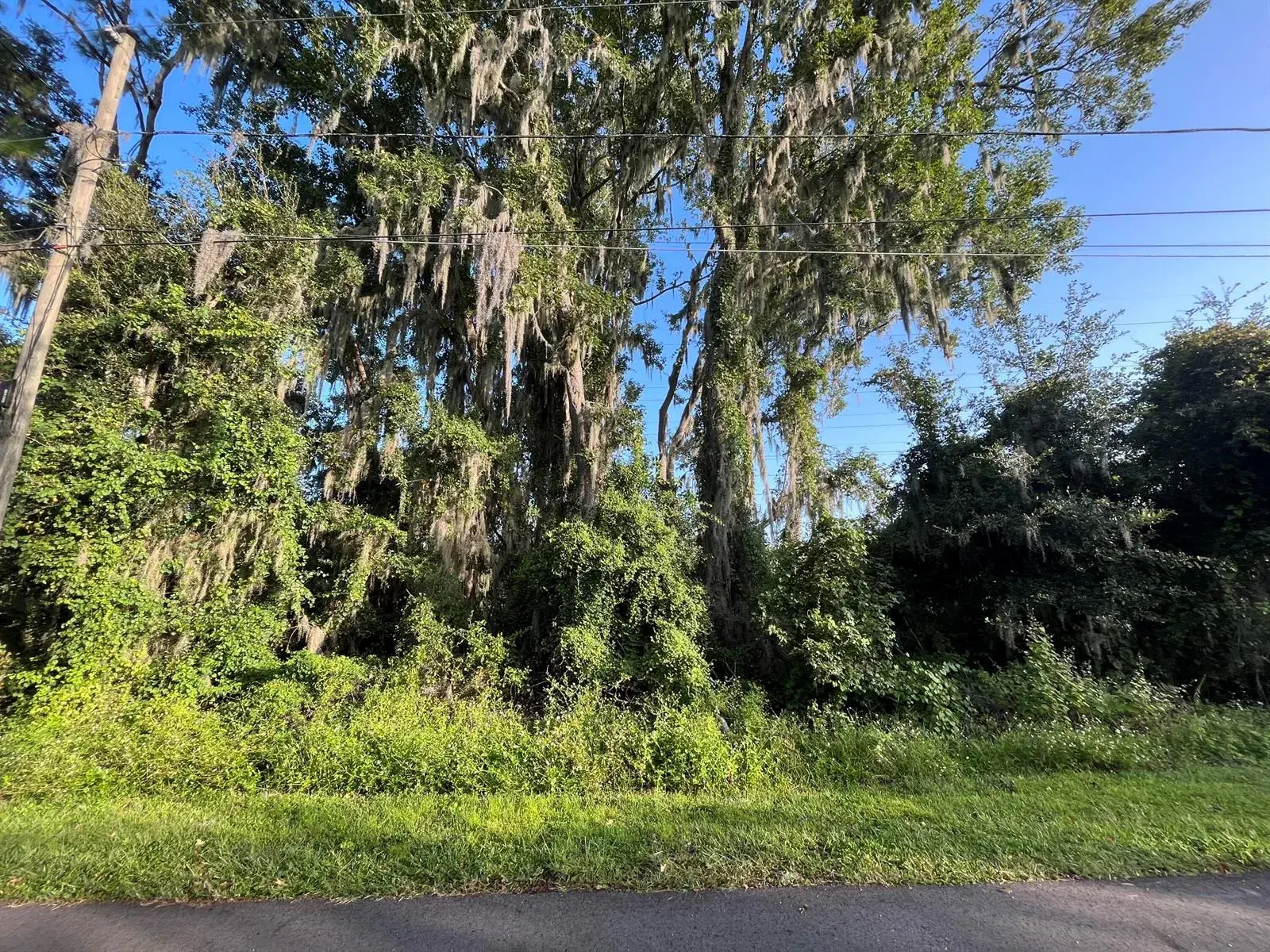 262 Toms Road, FL 32713
