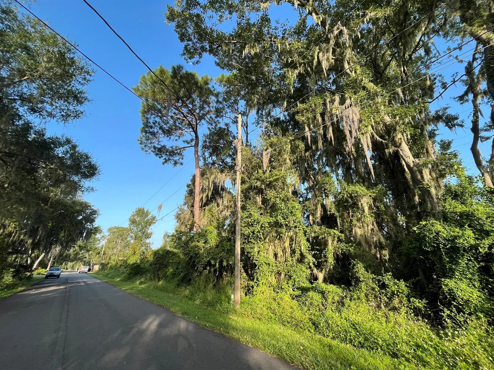 262 Toms Road, FL 32713