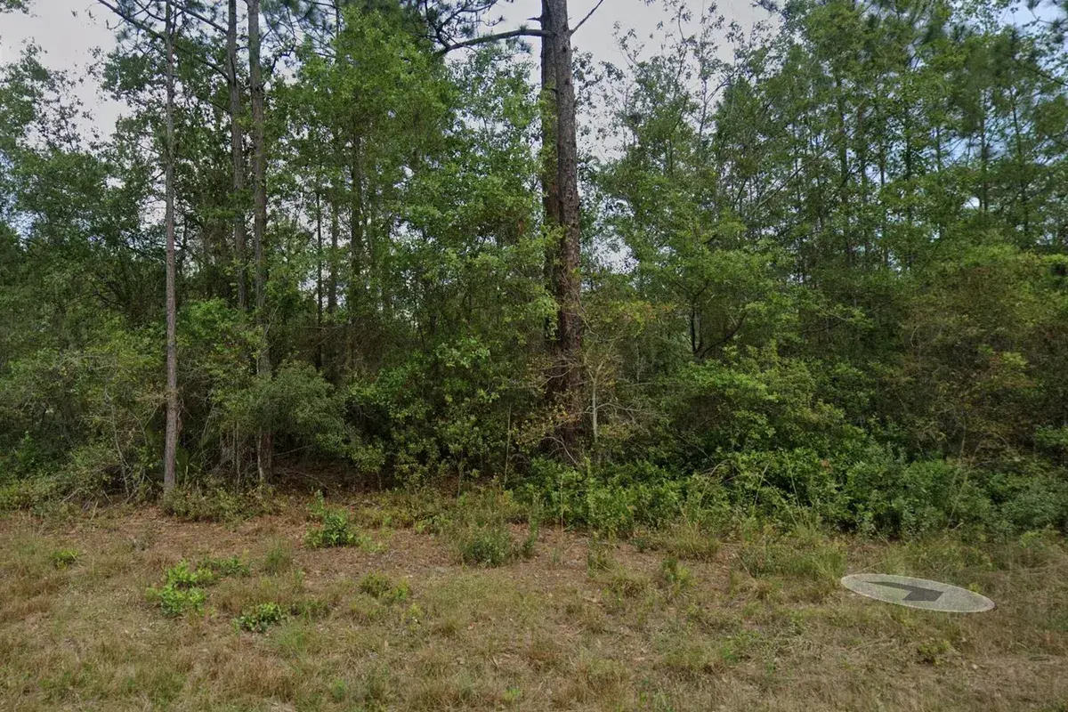 124 Roebuck Street, FL 32139