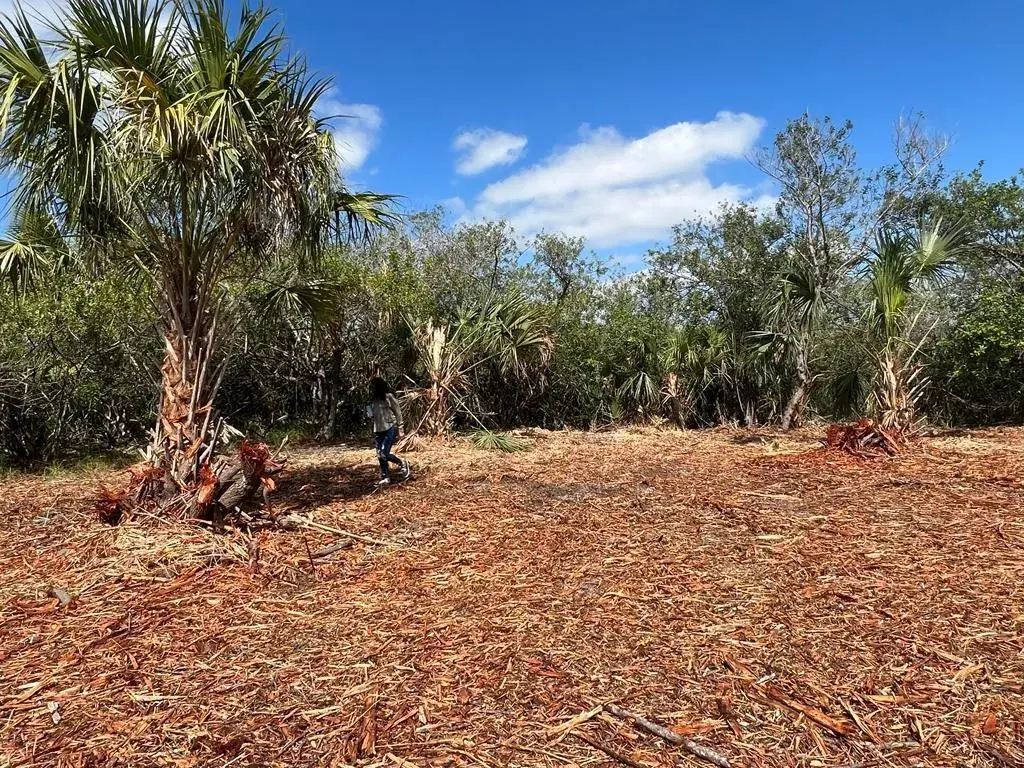 2182 Sparta Avenue SW, Palm Bay FL 32908