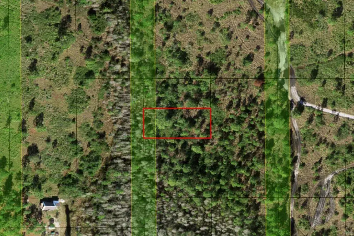 Commercial Land for sale at 0 Holopaw Groves Road, FL 34772