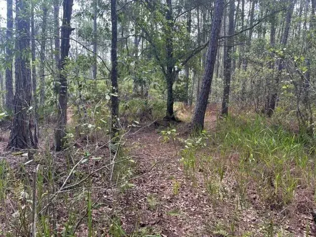 0 water Road, Clermont FL 33868