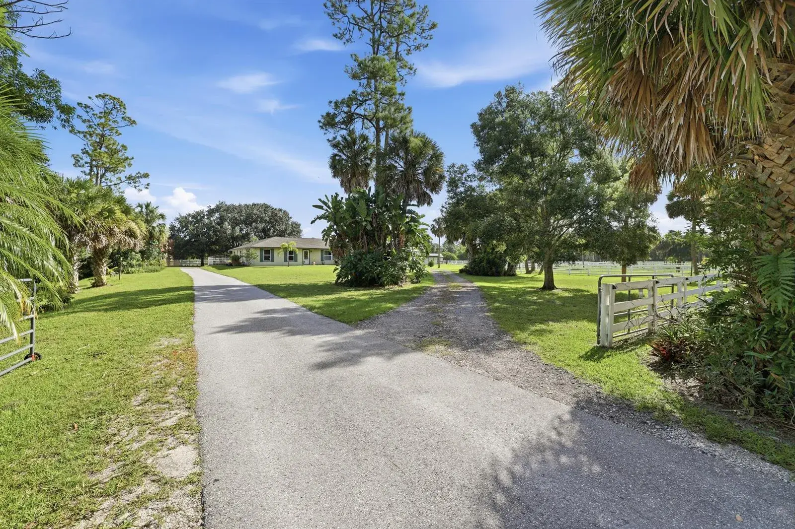 14095 BIDDEX Road, FL 33470 photo 4