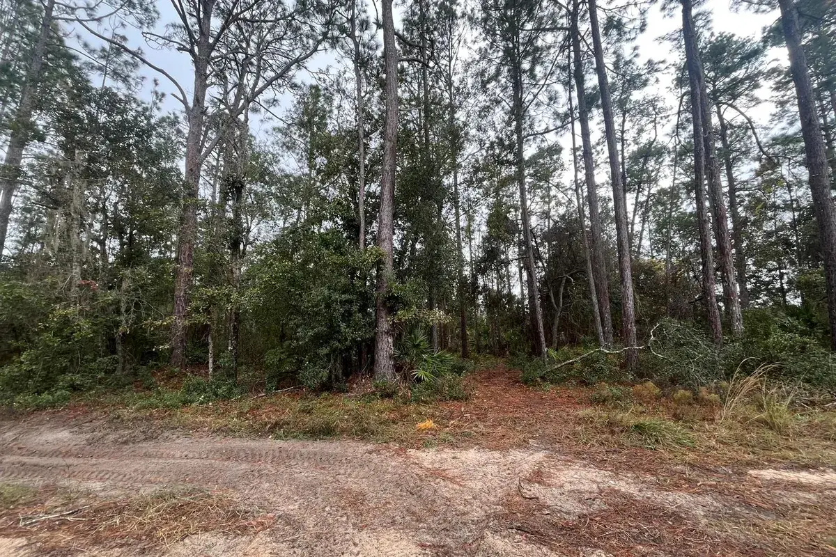 Tbd susan Street, FL 32148