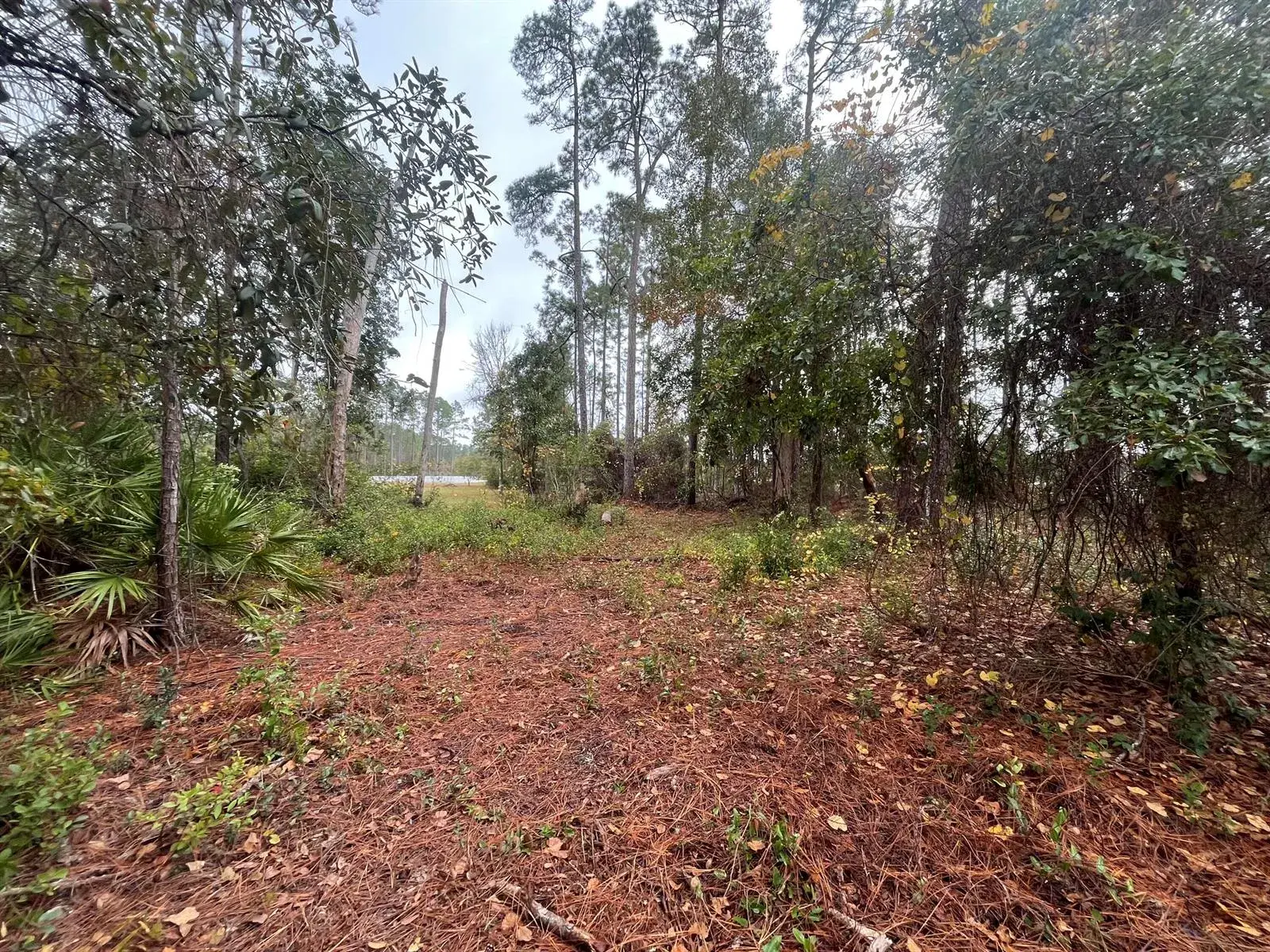Tbd susan Street, FL 32148