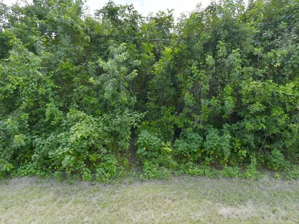 Land/Boat Docks for sale at 3025 SW COLLINGS Drive, Port St. Lucie FL 34953