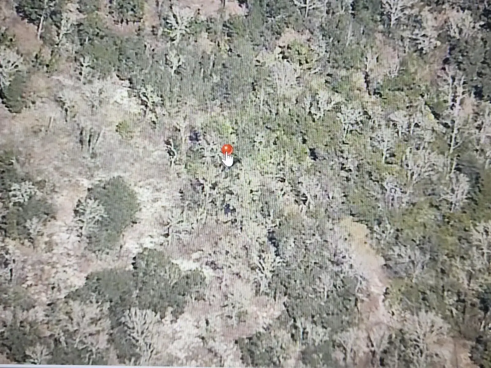 000 SW Paradise Heights Road, FL 34431