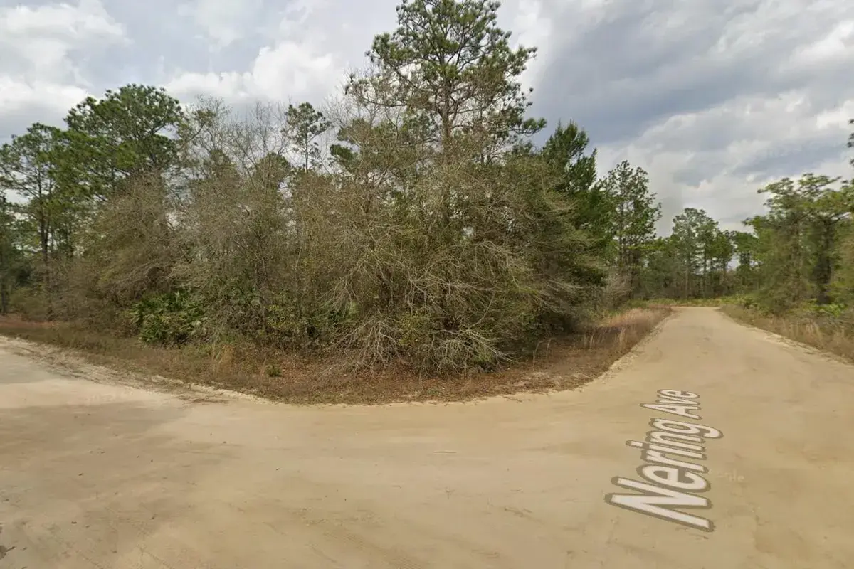 Tbd Wallace Street, FL 32148
