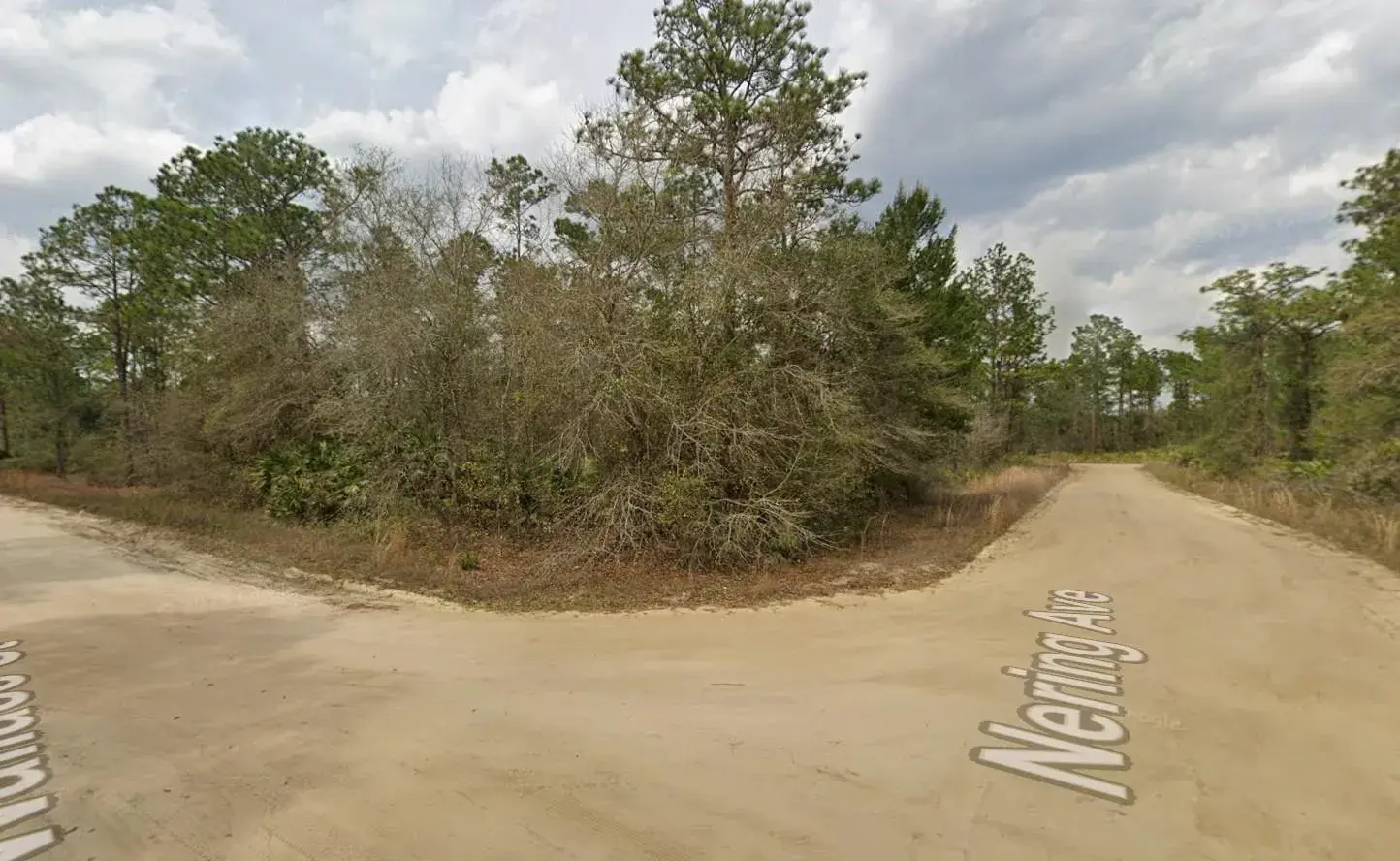 Commercial Land for sale at Tbd Wallace Street, FL 32148