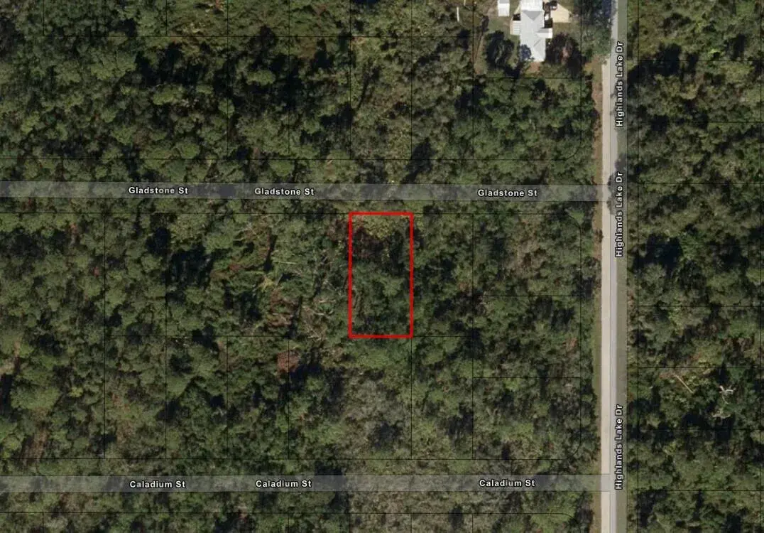 Land/Boat Docks for sale at 1521 Gladstone Street, Lake Placid FL 33852