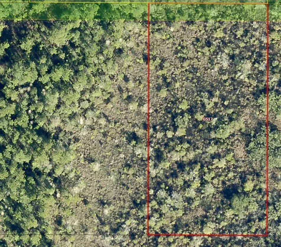 Commercial Land for sale at 0 Salyers Road, FL 34736