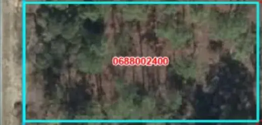 000 SE 134th Court SE, FL 34431