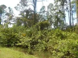 Commercial Land for sale at 1207 Dayton Avenue, Lehigh Acres FL 33972