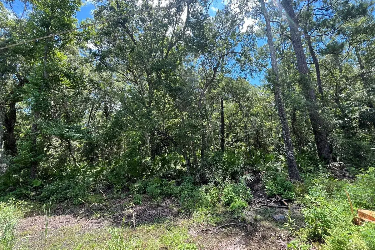 Tbd FRANKLIN Drive, FL 32327