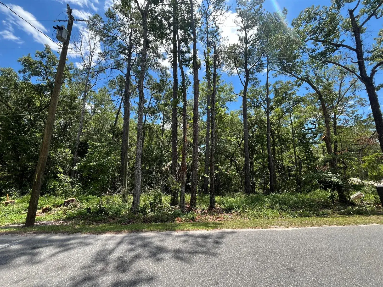Tbd FRANKLIN Drive, FL 32327