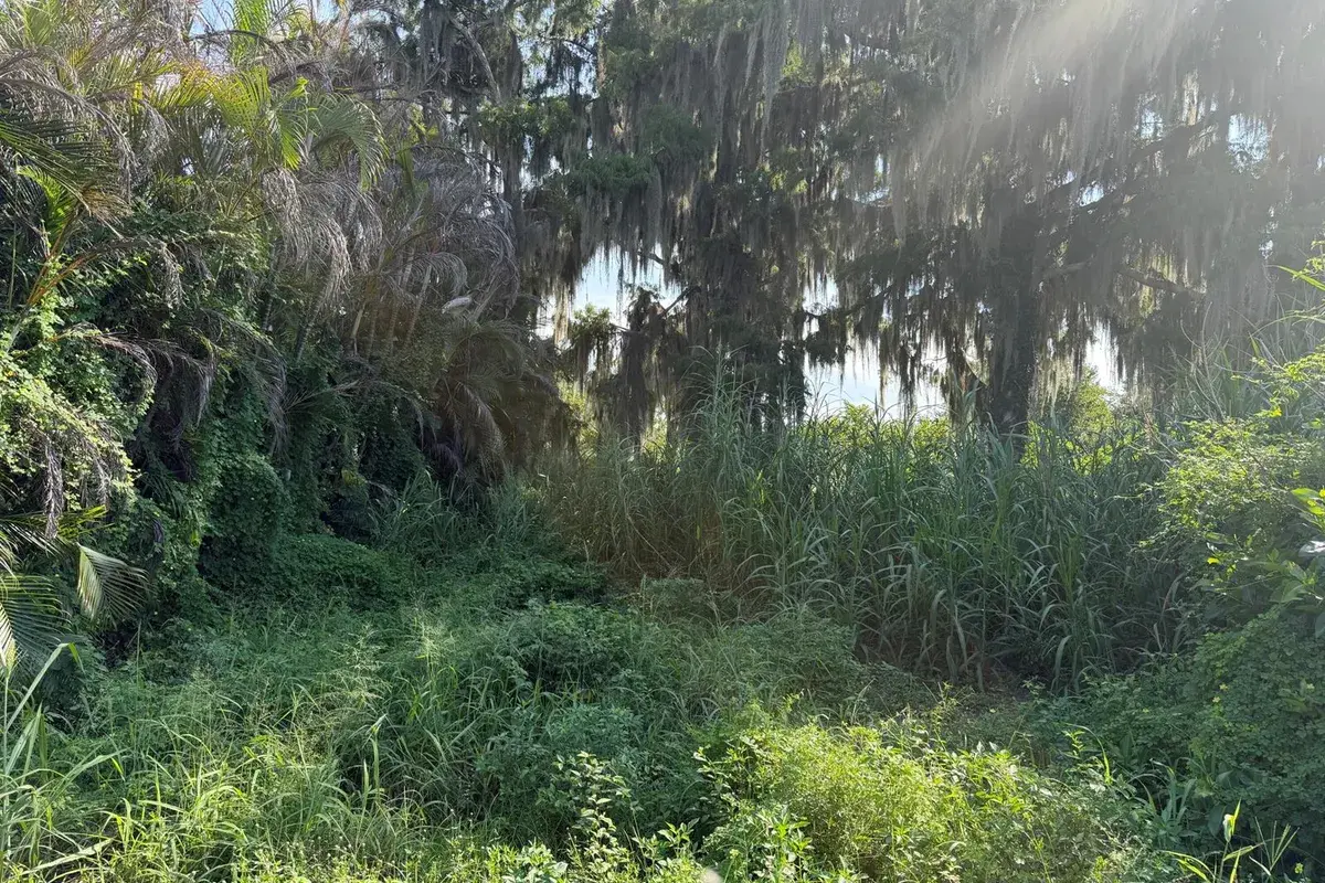 9825 U.S. 441, Okeechobee FL 34974