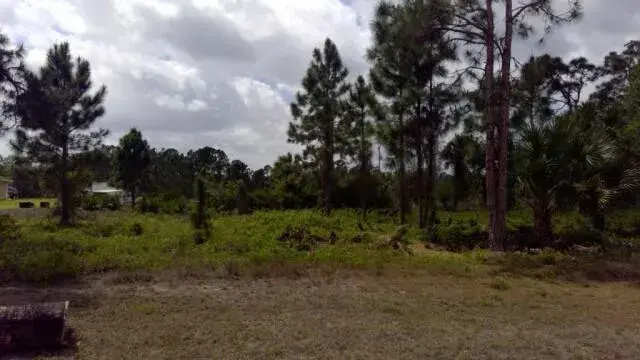 1236 COUNT Street E, Lehigh Acres FL 33974