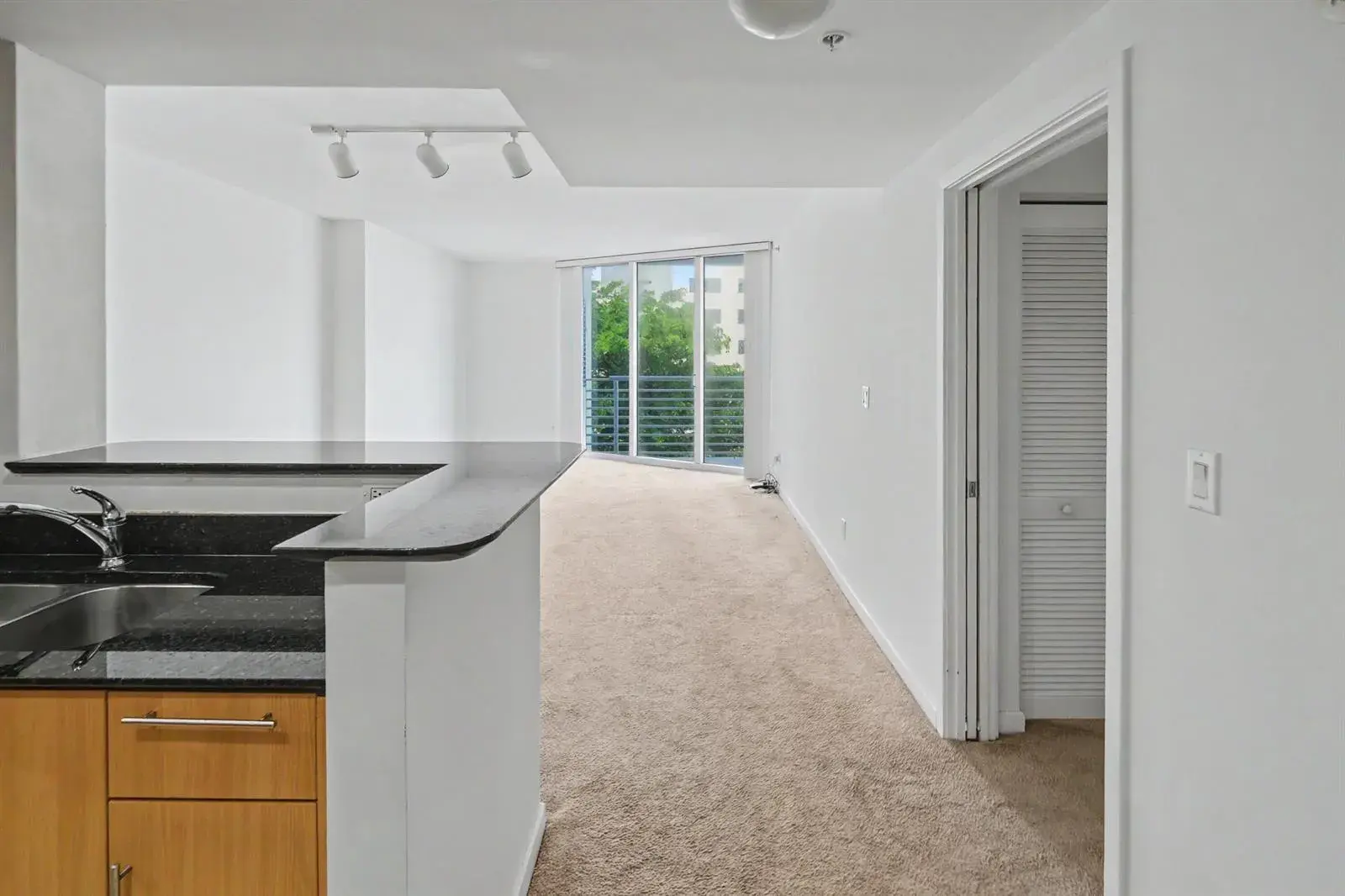 335 S Biscayne Boulevard # 1002, Miami FL 33131