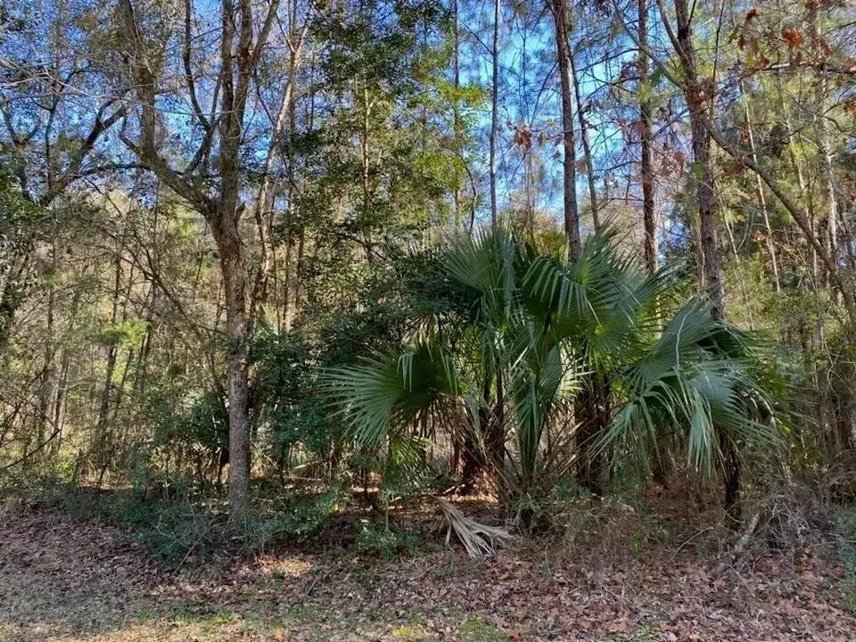 0000 River Blf Drive, FL 32046