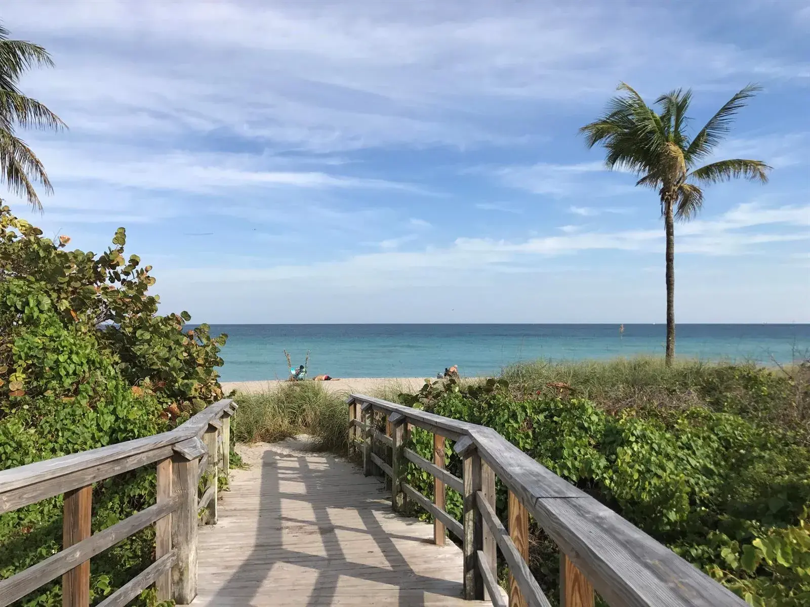 2 bedroom 2 bath Residential Lease for rent at 3200 N OCEAN Drive # 206, Hollywood FL 33019