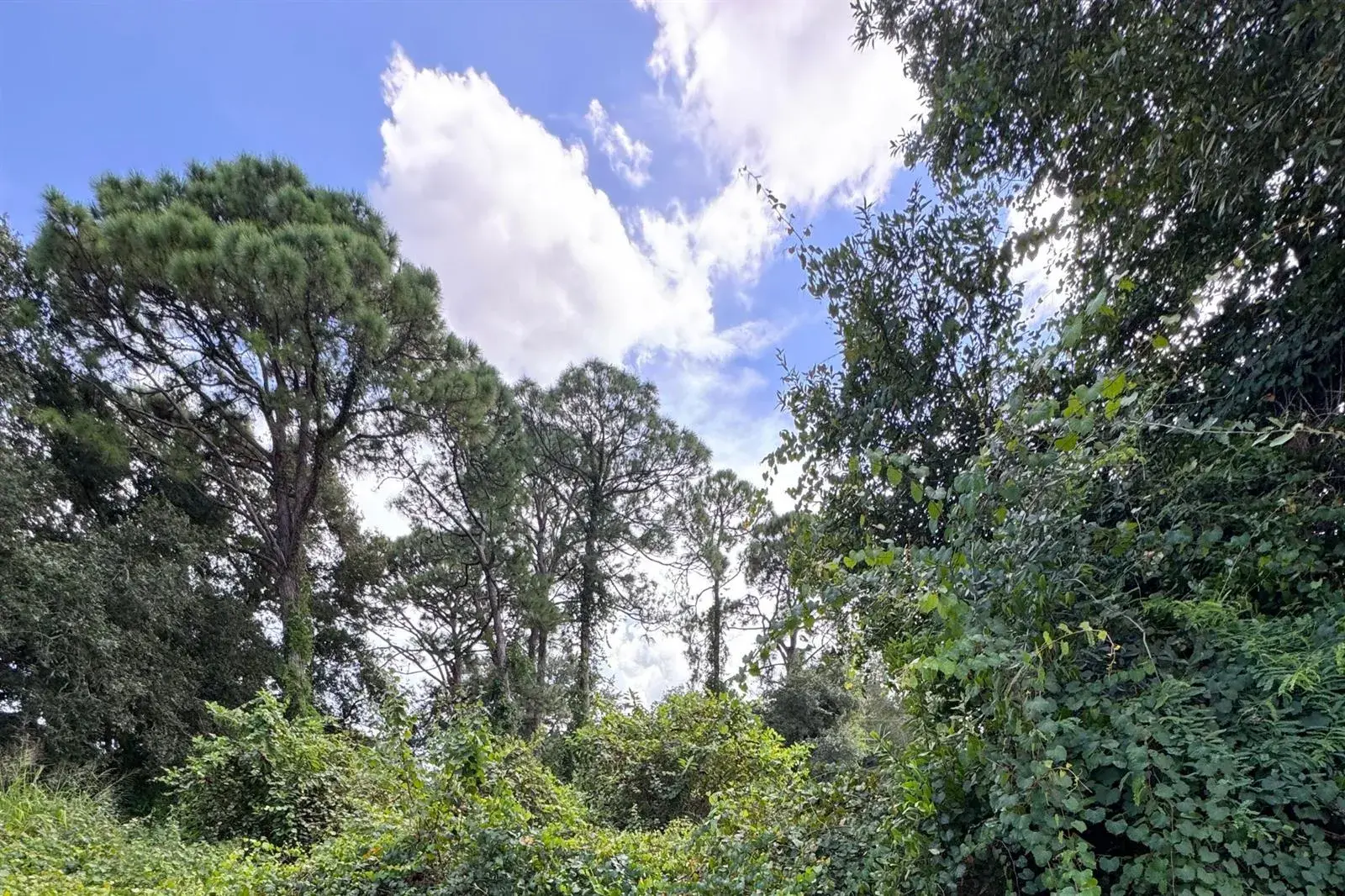 Commercial Land for sale at 6801 Deland Avenue, Fort Pierce FL 34951