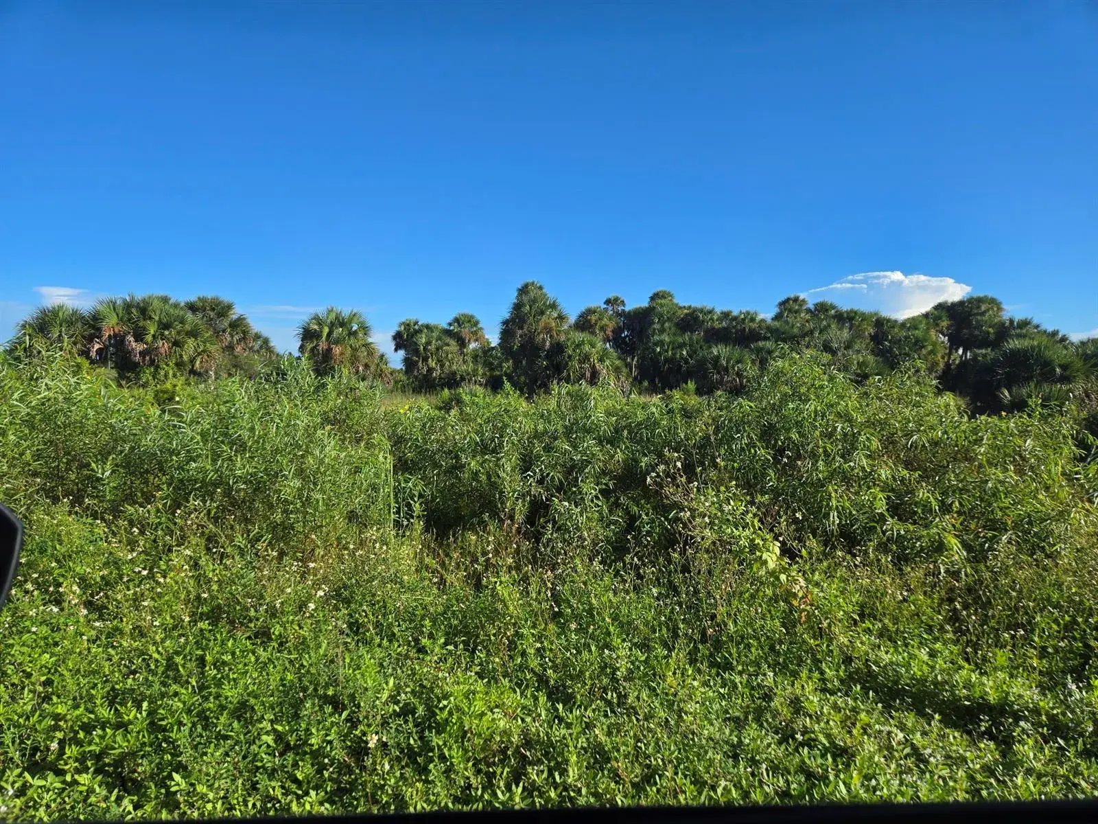 Commercial Land for sale at 14614 NW 274th Street, Okeechobee FL 34972