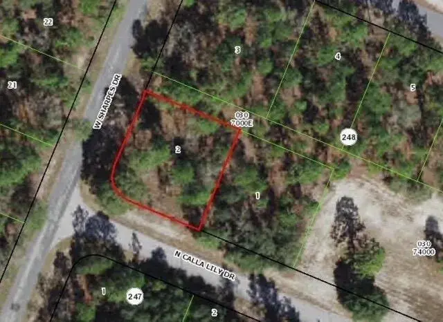 Commercial Land for sale at 9735 N CALLA LILY Way, FL 34433