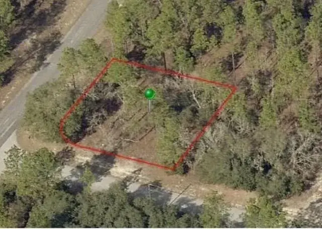 9735 N CALLA LILY Way, FL 34433