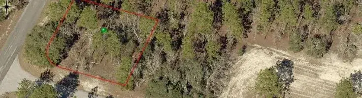 9735 N CALLA LILY Way, FL 34433