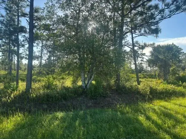 Commercial Land for sale at 0 N Hwy 441, Okeechobee FL 34972