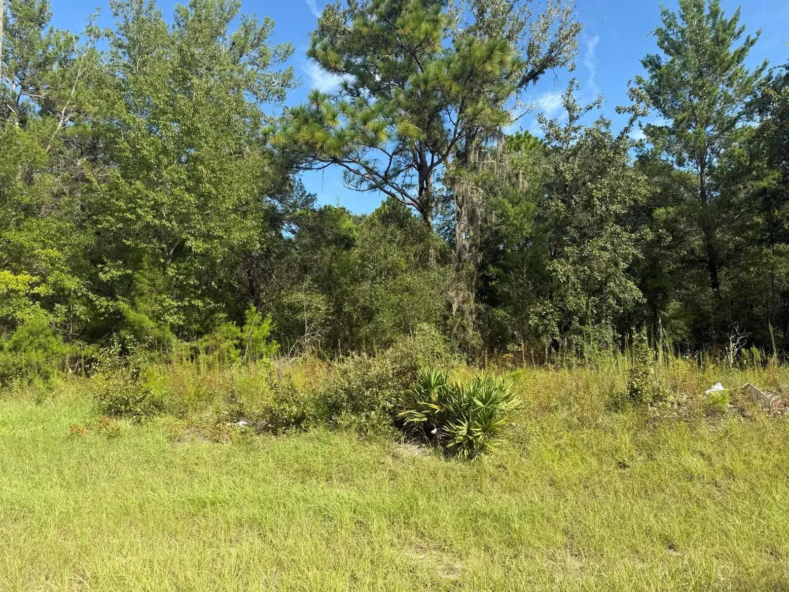 Commercial Land for sale at Tbd 79th terrace Road, FL 34432