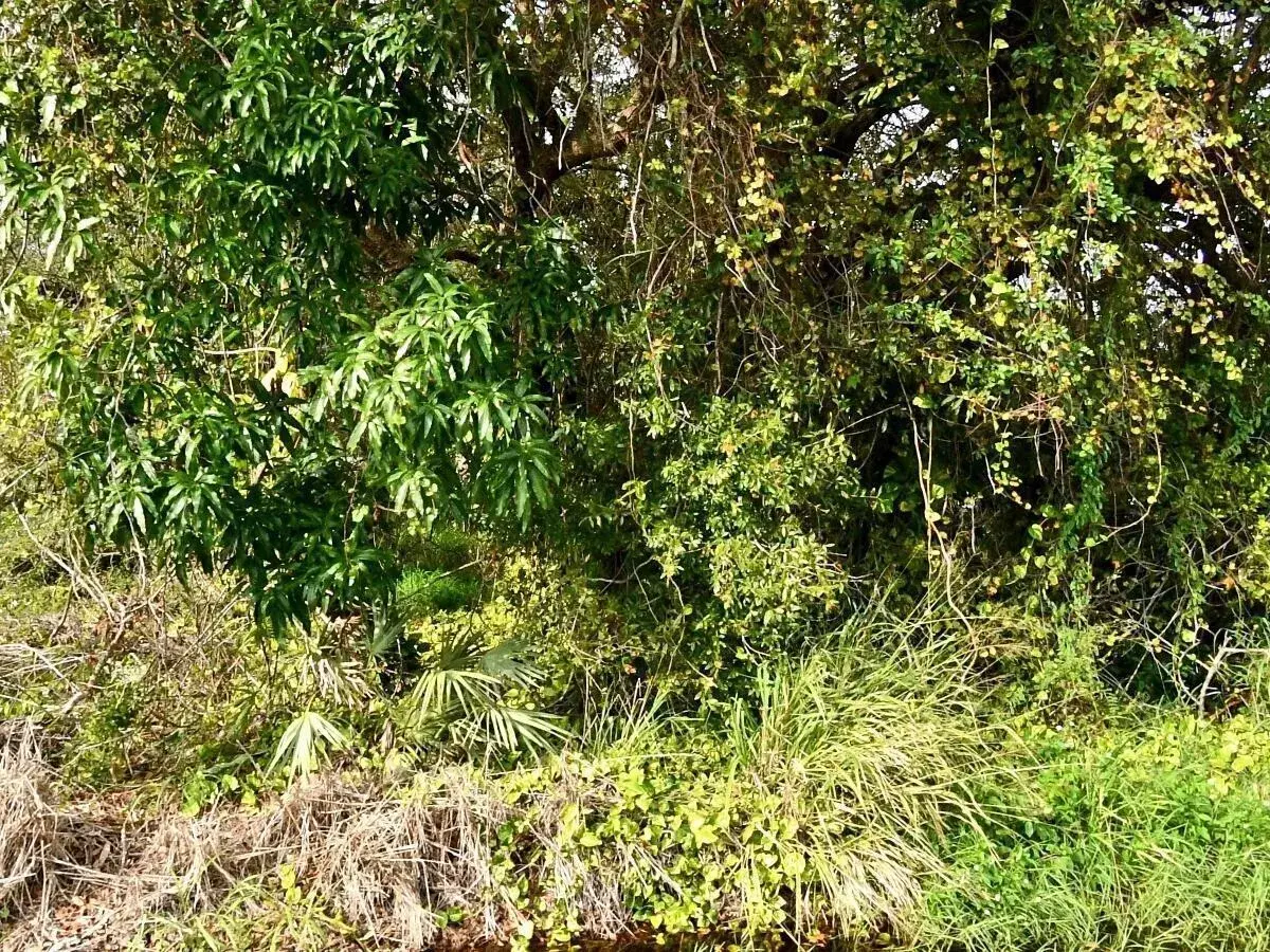 Commercial Land for sale at Tbd N 37th Street, Fort Pierce FL 34947