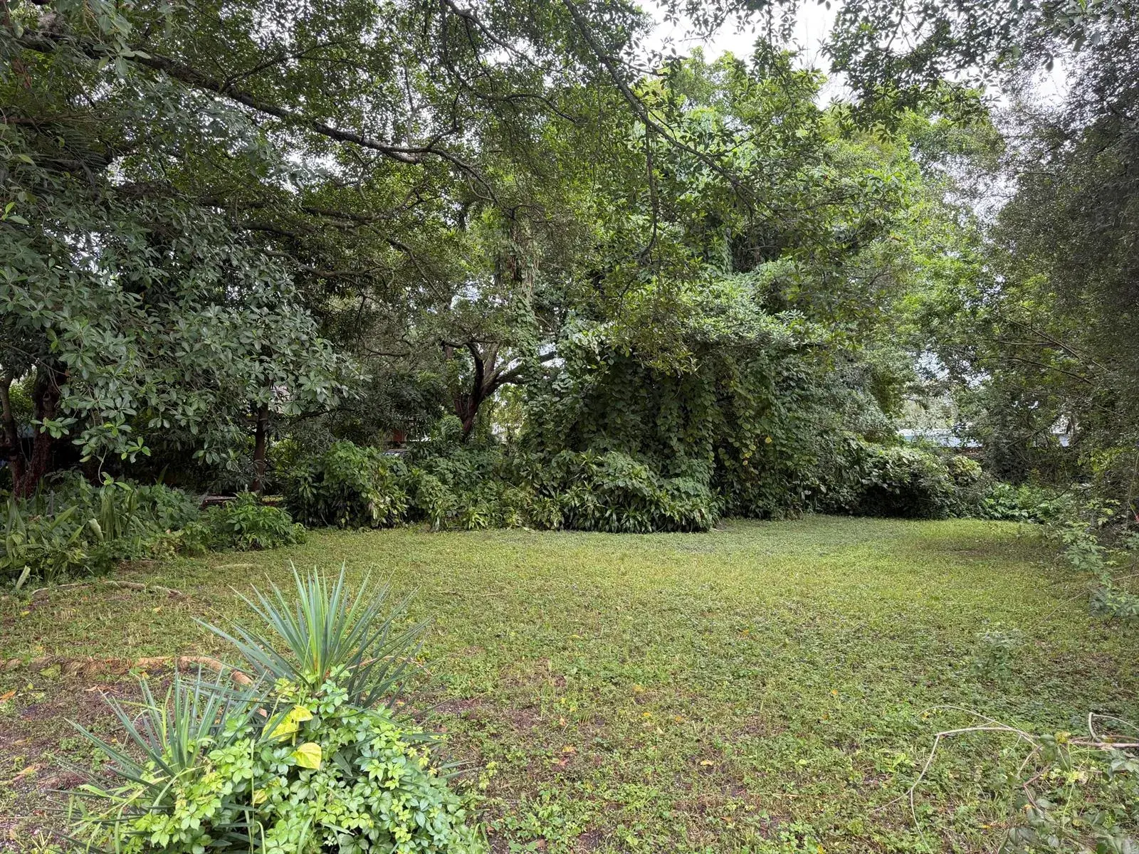 Commercial Land for sale at 5814 LINCOLN Street, Hollywood FL 33021